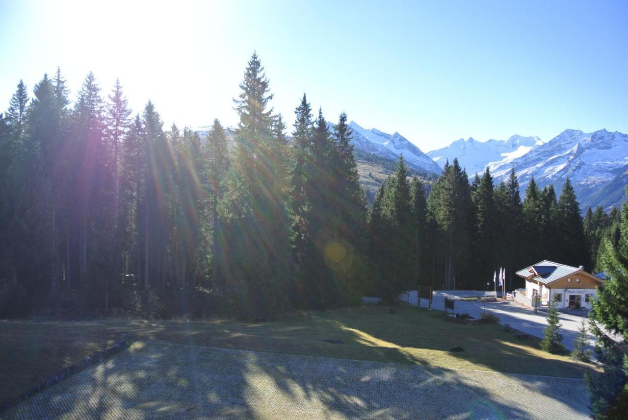 Haus Wiesberger Top25 Südseite *